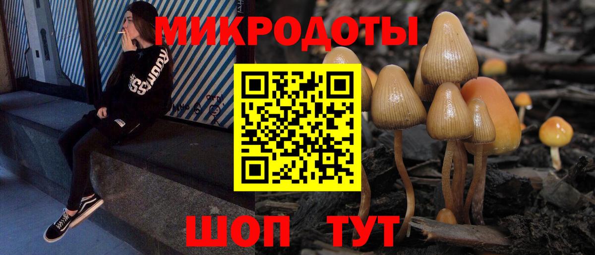 Галлюциногенные грибы Psilocybe  Вход с VPN  Ревда  Галлюциногенные грибы мицелий 